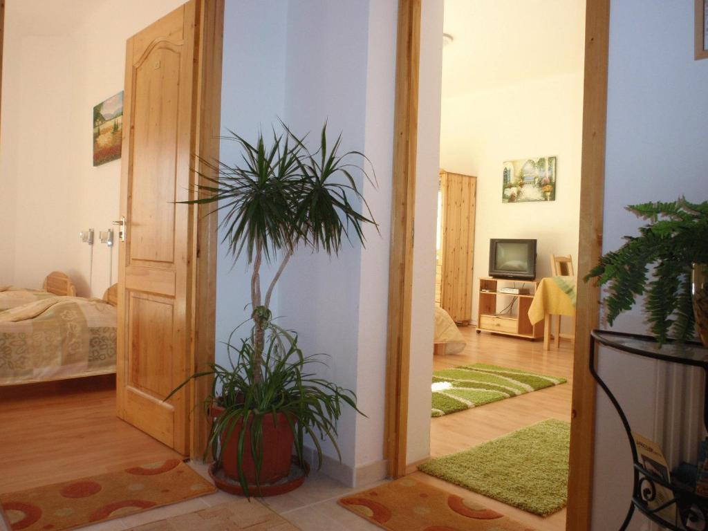 Centrum Apartmanhaz Pécs Kamer foto